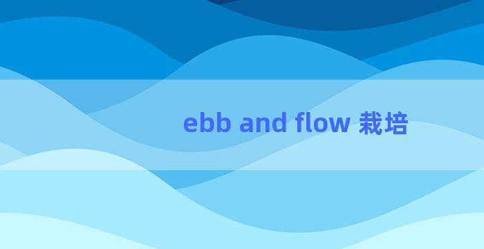 ebb and flow 栽培